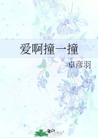 《爱啊撞一撞》