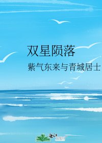 双星陨落