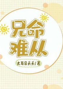 《兄命难从》
