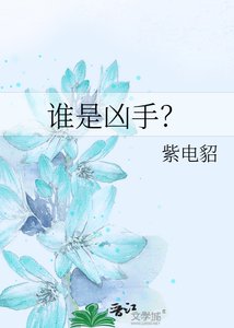 《谁是凶手?》